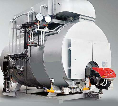 燃气锅炉厂家-天津弘文特色农产品开发有限公司